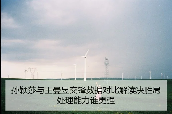 孙颖莎与王曼昱交锋数据对比解读决胜局处理能力谁更强