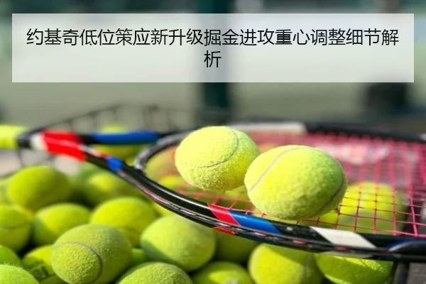 约基奇低位策应新升级掘金进攻重心调整细节解析